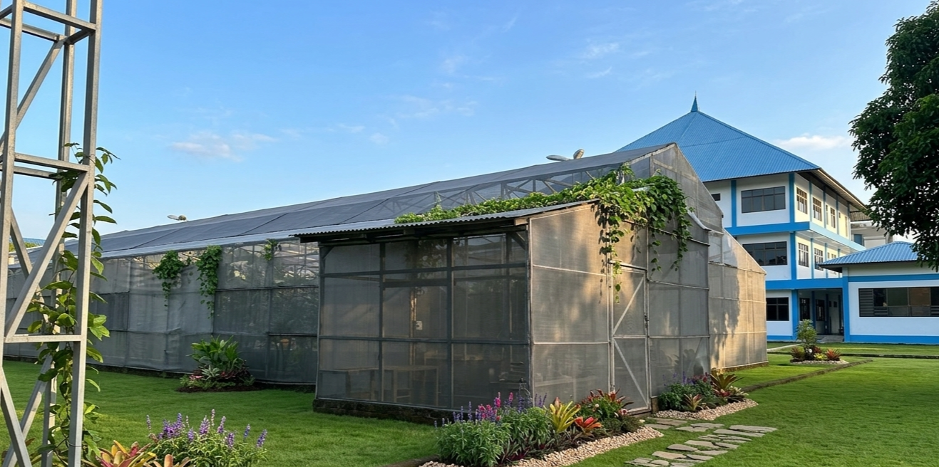 Nursery - Image 2